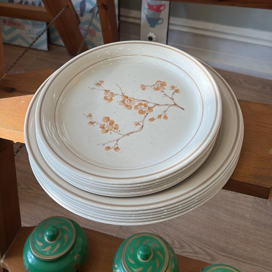 Vintage American-made Corning plates