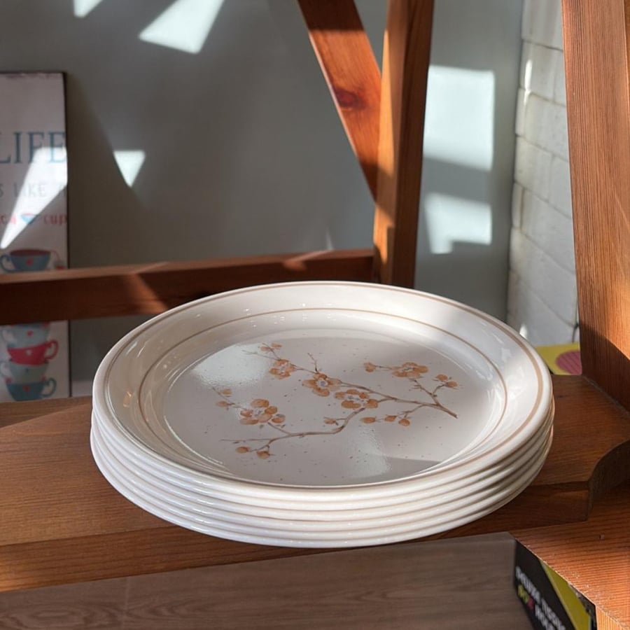 Vintage American-made Corning plates