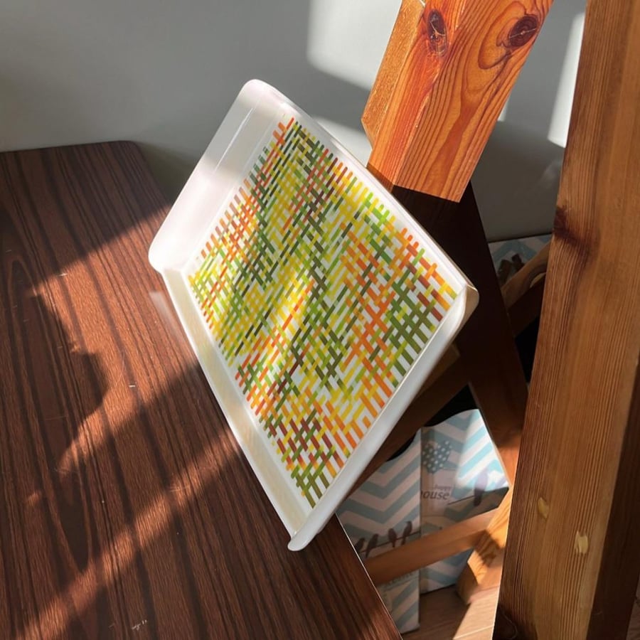 Vintage Japanese-made tray