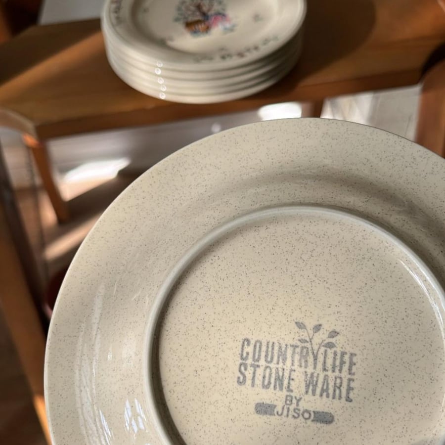 Set of 6 Japanese-made vintage and rare plates