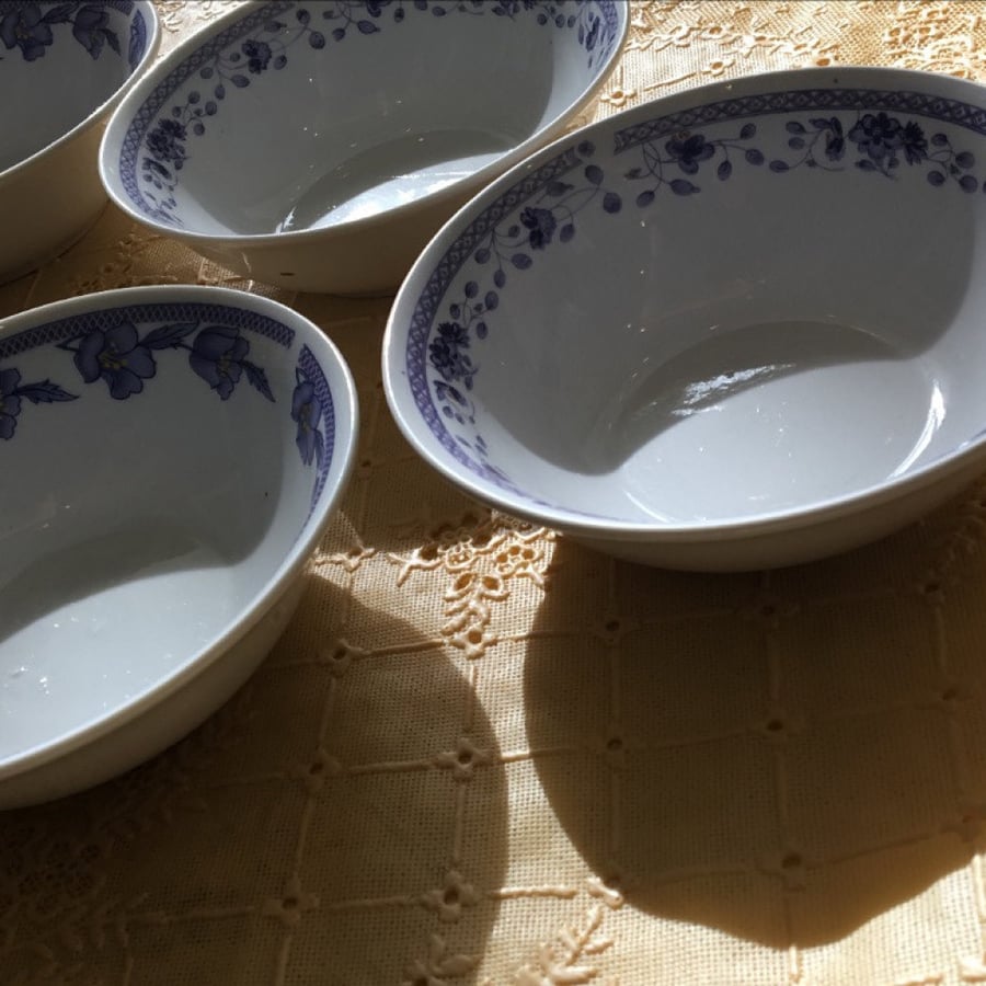 بادية صغيرة فنتج