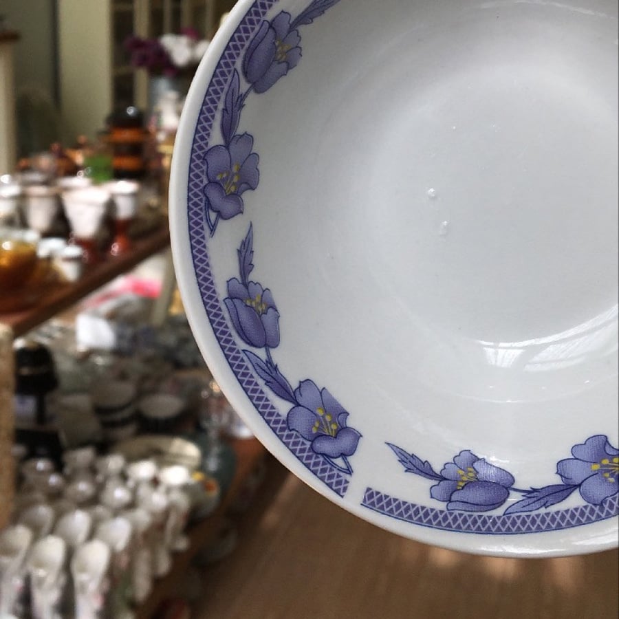 بادية صغيرة فنتج