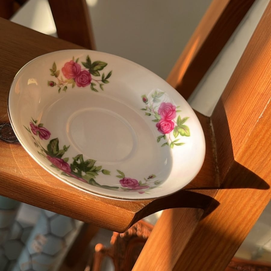 Dish صحون استكانات " فنتج