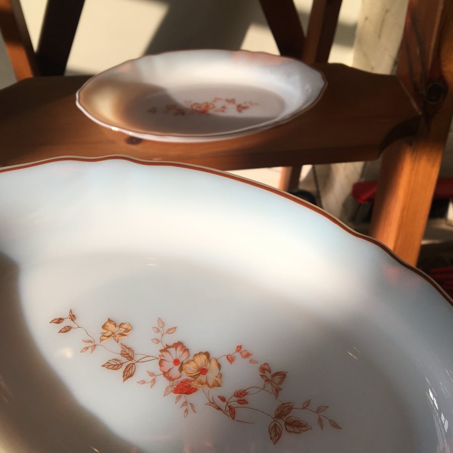 French dish vintage by Arcopal