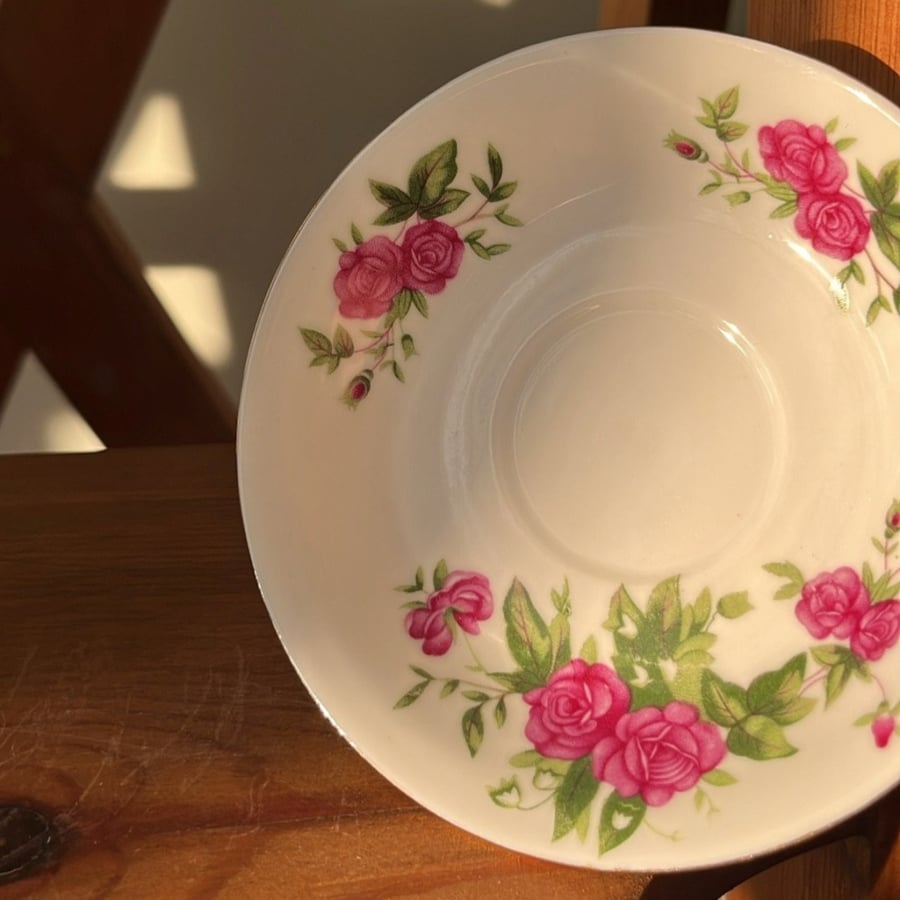 Dish صحون استكانات " فنتج