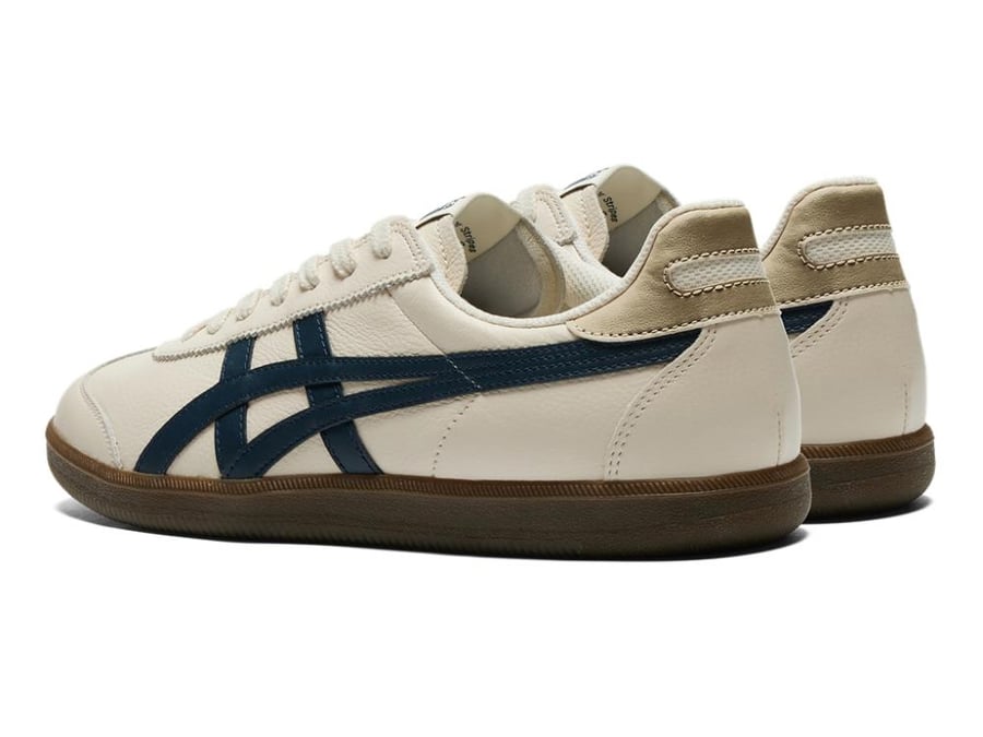 Shoes and Wetsuka Tiger Tokuten