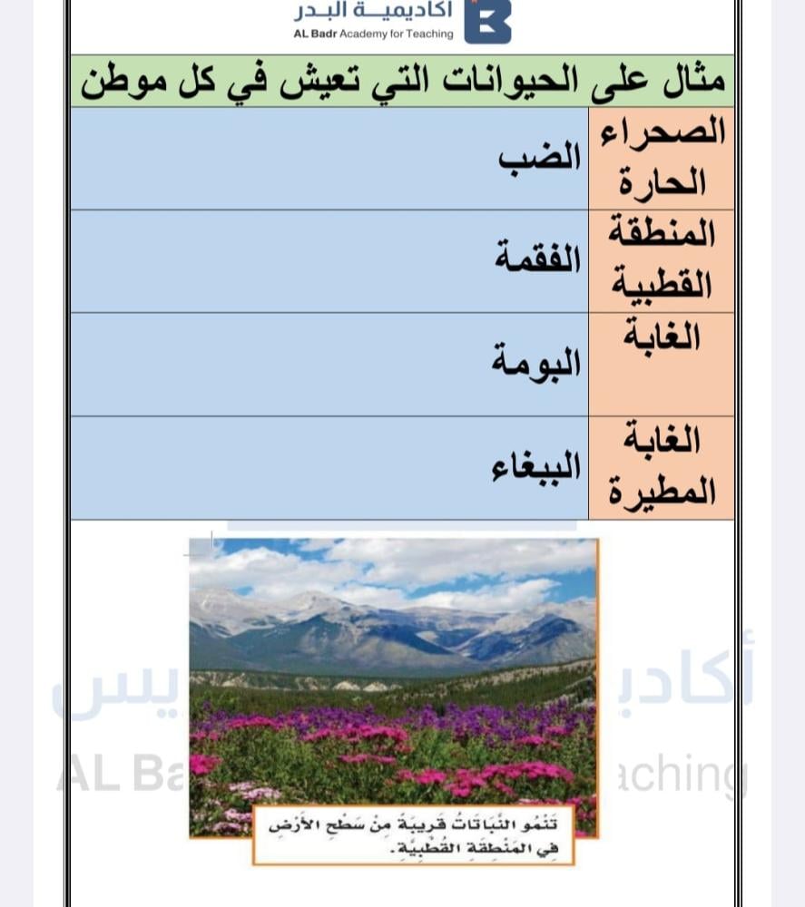 الباقة الفضية لمادة العلوم - صف ثاني ابتدائي للفصل الدراسي الأول