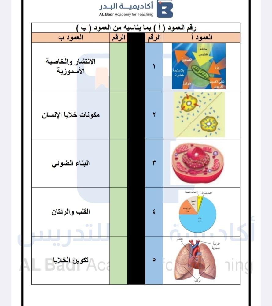 الباقة الذهبية لمادة العلوم - صف سادس ابتدائي للفصل الدراسي الأول