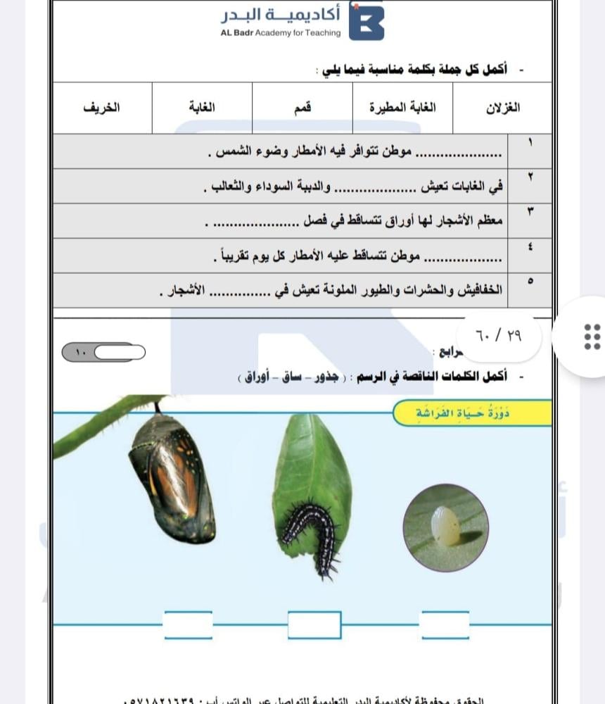 الباقة الفضية لمادة العلوم - صف ثاني ابتدائي للفصل الدراسي الأول
