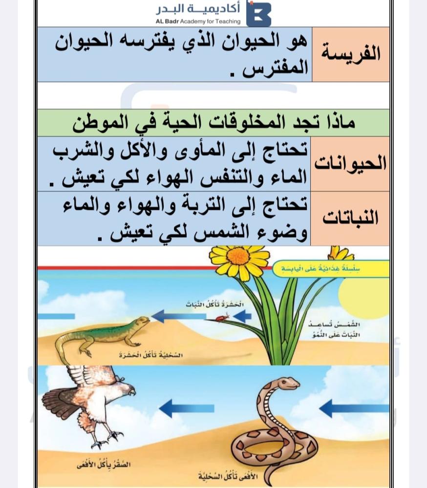 الباقة الألماسية لجميع المواد - صف ثاني ابتدائي للفصل الدراسي الأول