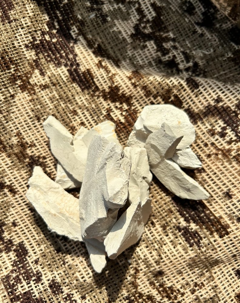 ابيض  (مدر)