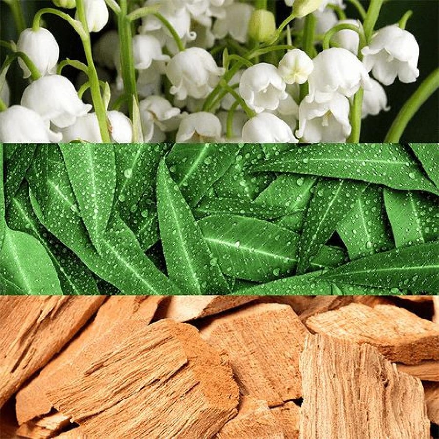 عطر كونتردكشن او دي بارفيوم من كالفن كلاين للنساء 100 مل
