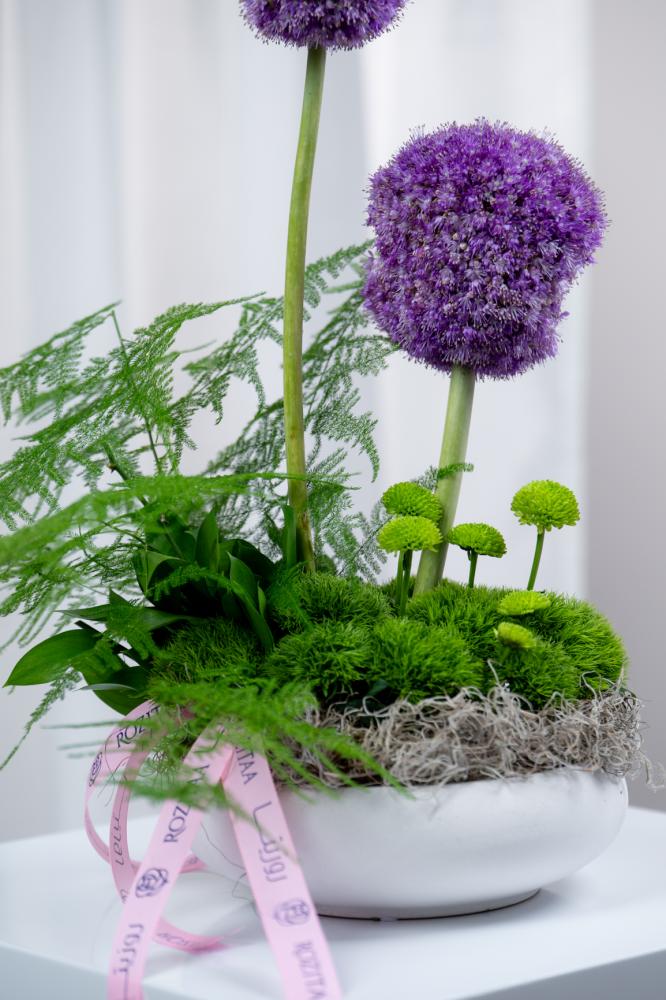 ورد اوركيد توليب بيبي روز جوري متجر ورد توصيل ورد روزيتا طبيعي flower