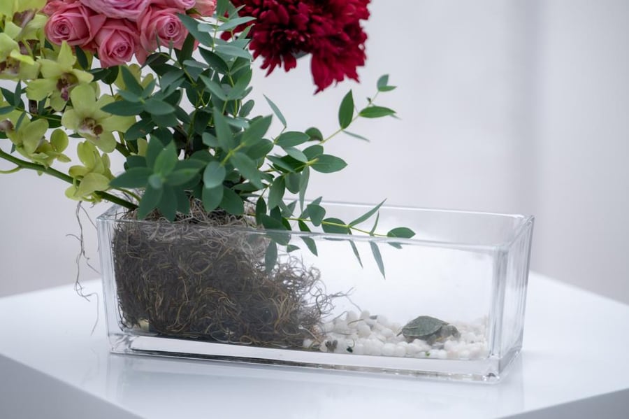ورد اوركيد توليب بيبي روز جوري متجر ورد توصيل ورد فازة باقة  flower