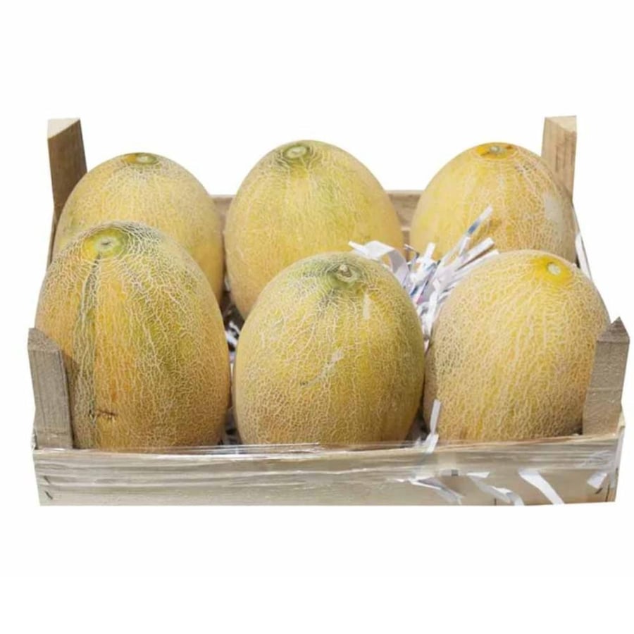 شمام اردني طازج - كرتون 6 حبات