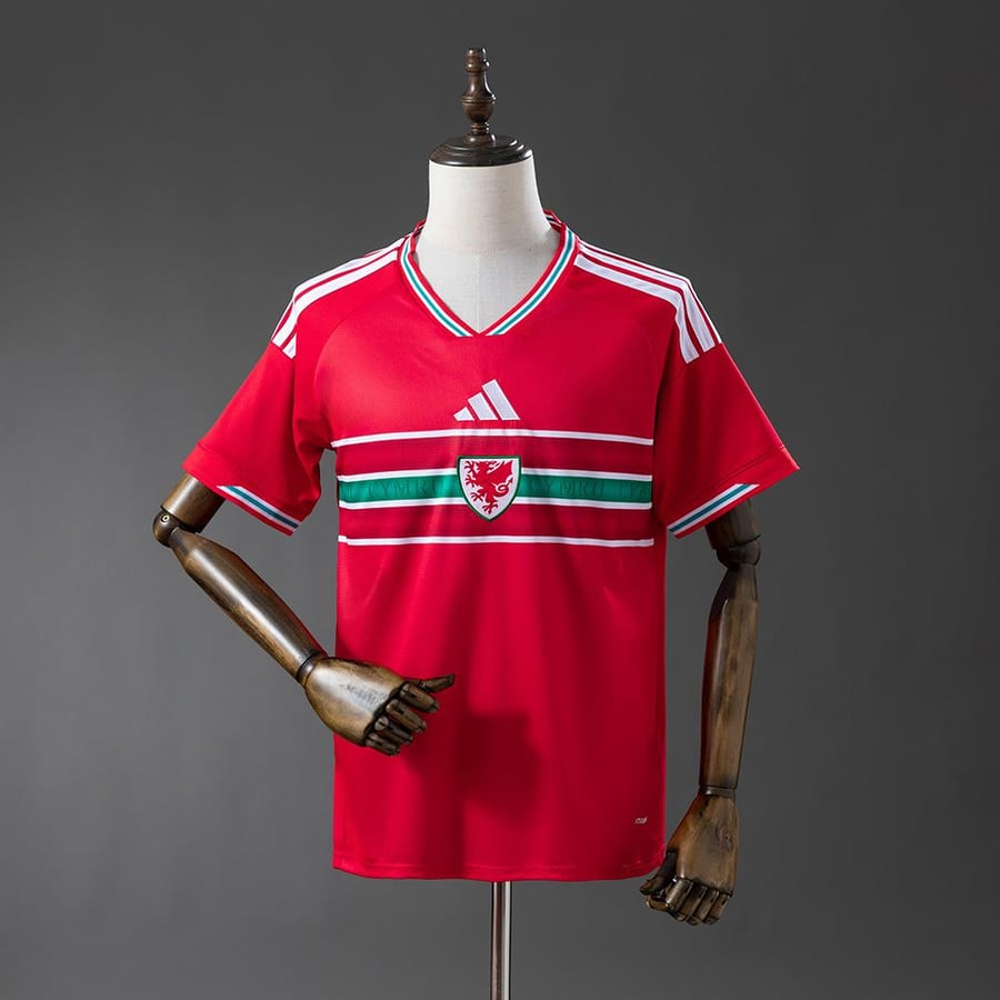 Wales basic T-shirt World Cup 2026