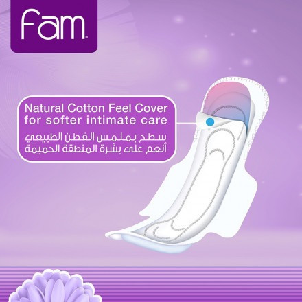 Fam Sanitary Pads Compressed 30 Pieces Large With Wings