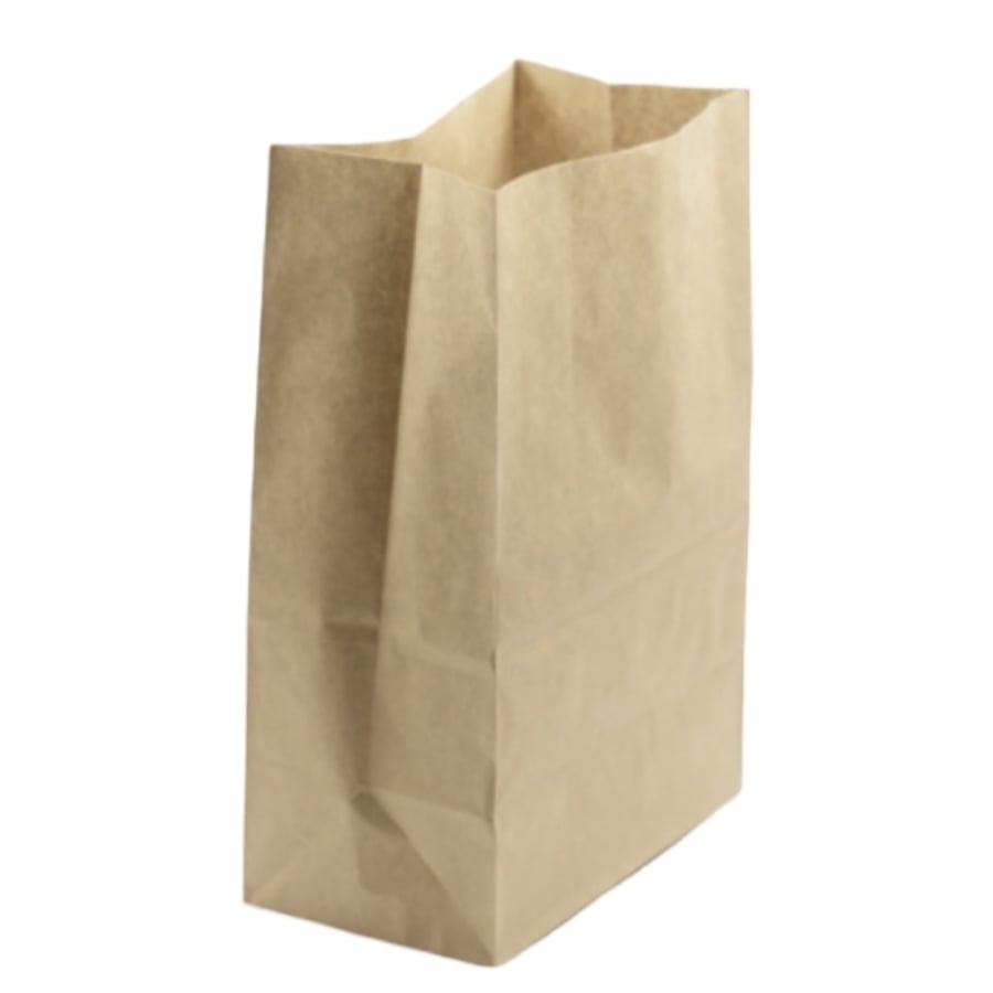Brown paper bags of 15 pieces, size No. 8