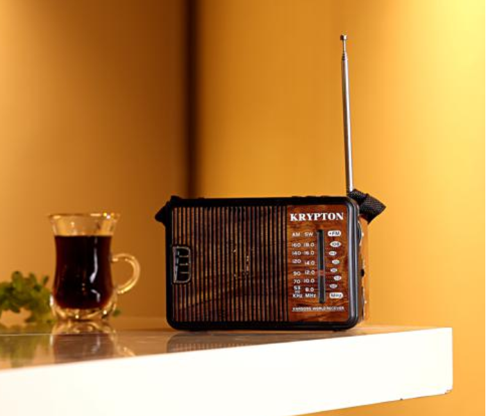 مكبر صوت و راديو ( بلوتوث + USB + AUX + ذاكرة ) KRYPTON KNR5095