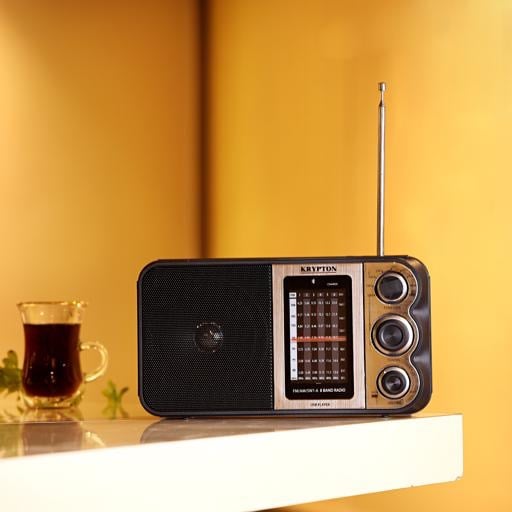 مكبر صوت و راديو ( بلوتوث + USB + AUX + ذاكرة ) KRYPTON KNR5096