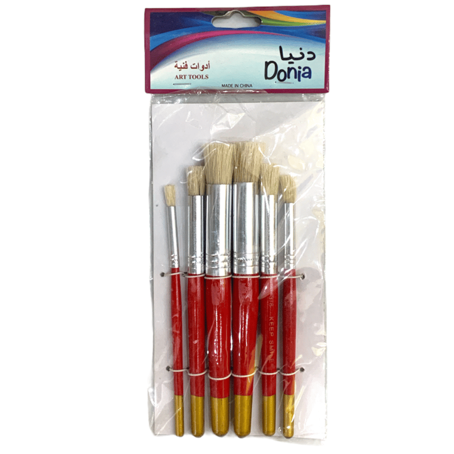 6pcs paint brushes