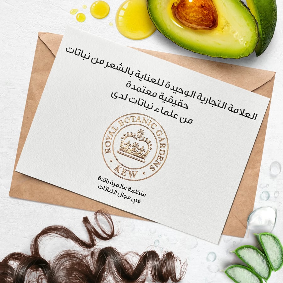 ماسك تغذية الشعر الكيرلي بالصبار والأفوكادو 250 مل Herbal Essences