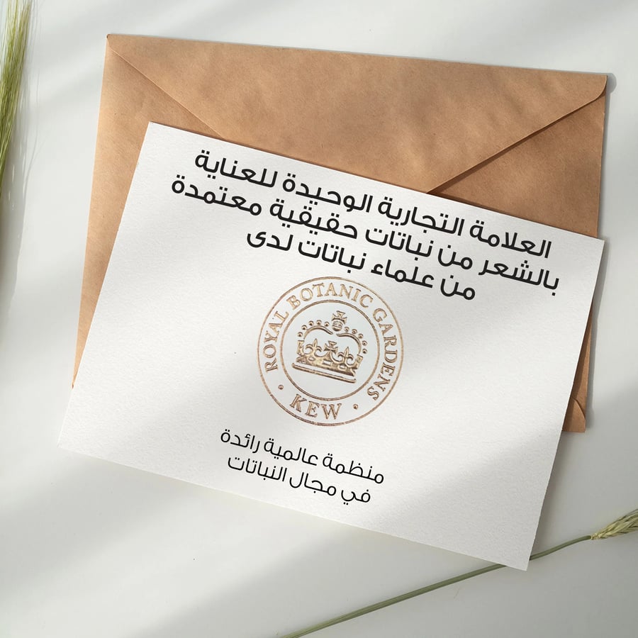 كريم بخلاصة زيت الارجان المغربي 180 مل Herbal Essences