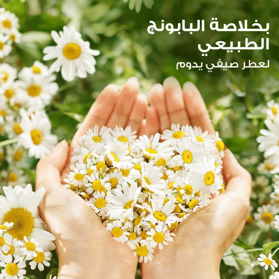 بخاخ بلسم معطر بابونج 145 مل Herbal Essences
