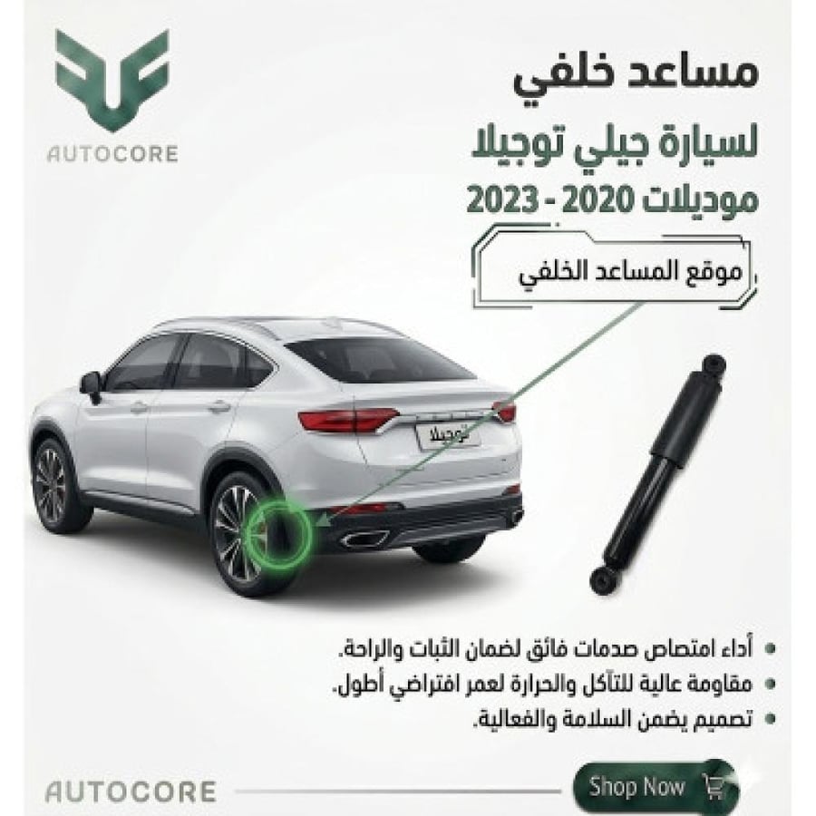 مساعد خلفي جيلي توجيلا 2020 2023