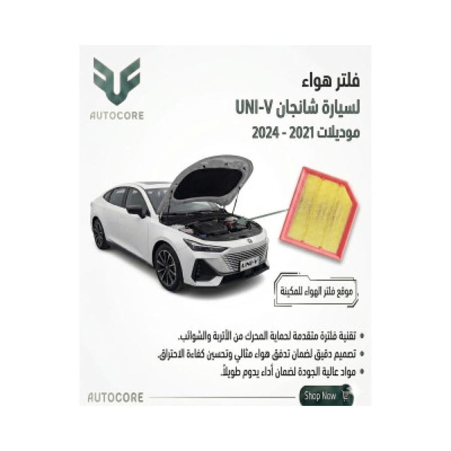 فلتر الهواء شانجان UNI V
