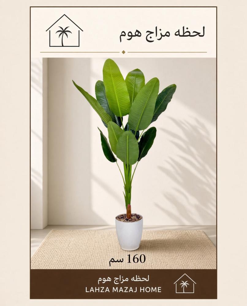 شجرة موز مركن بلاستيك