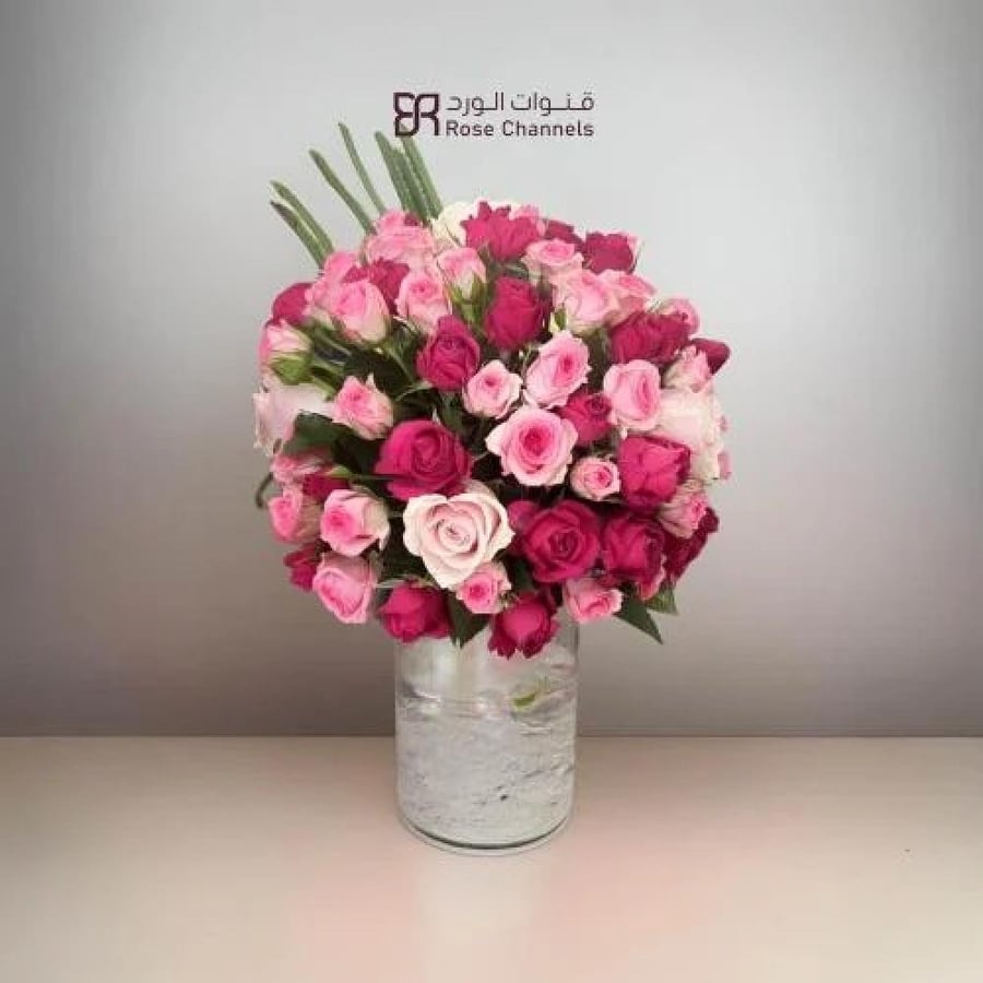 فازه مكس جوري بيبي جوري