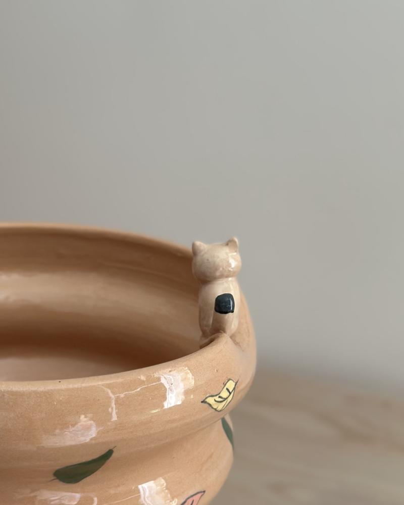 Cat bowl
