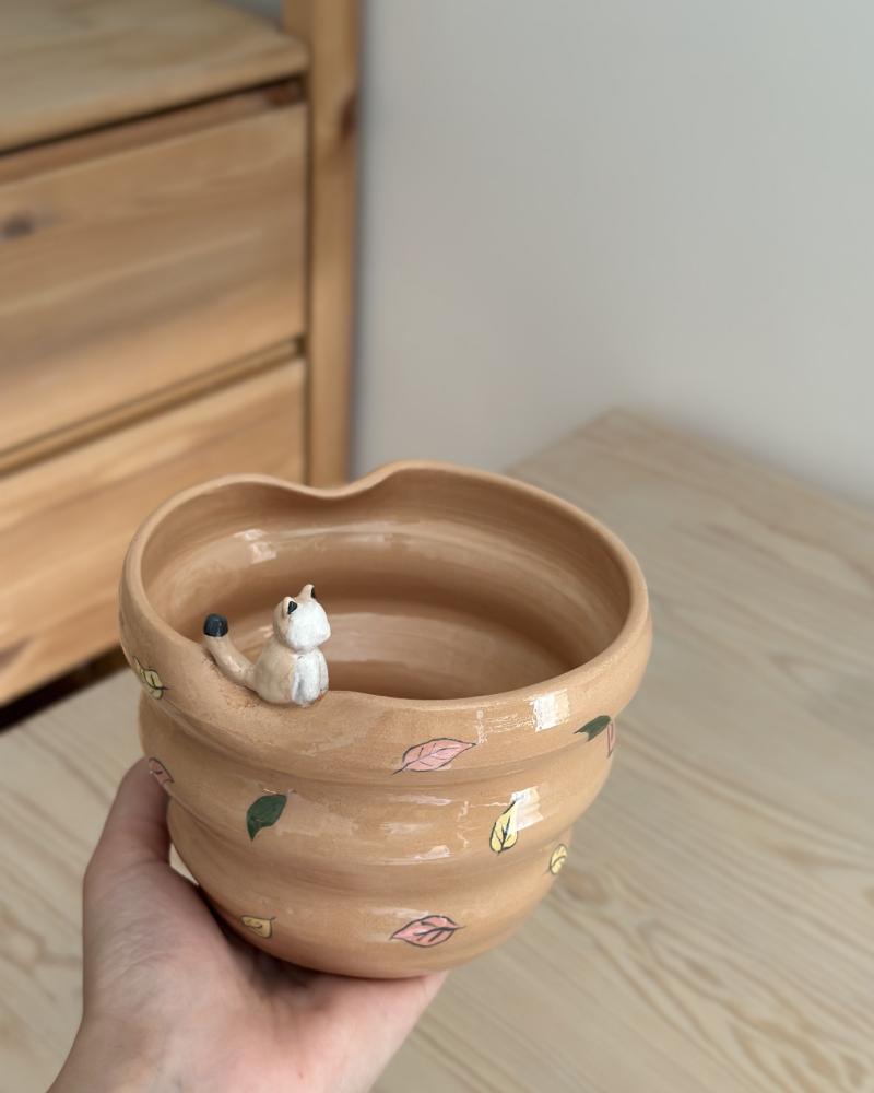 Cat bowl
