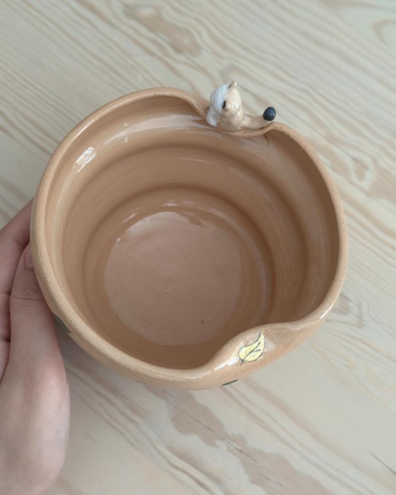 Cat bowl