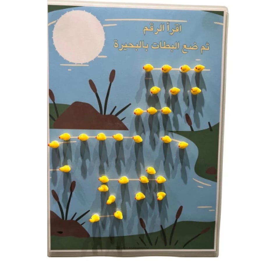 العدد ومدلولة