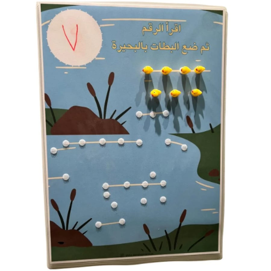 العدد ومدلولة