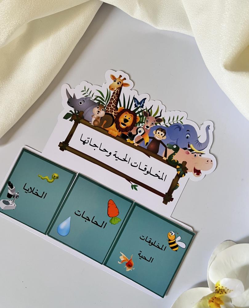 مطوية المخلوقات الحية تصميم حسب الطلب