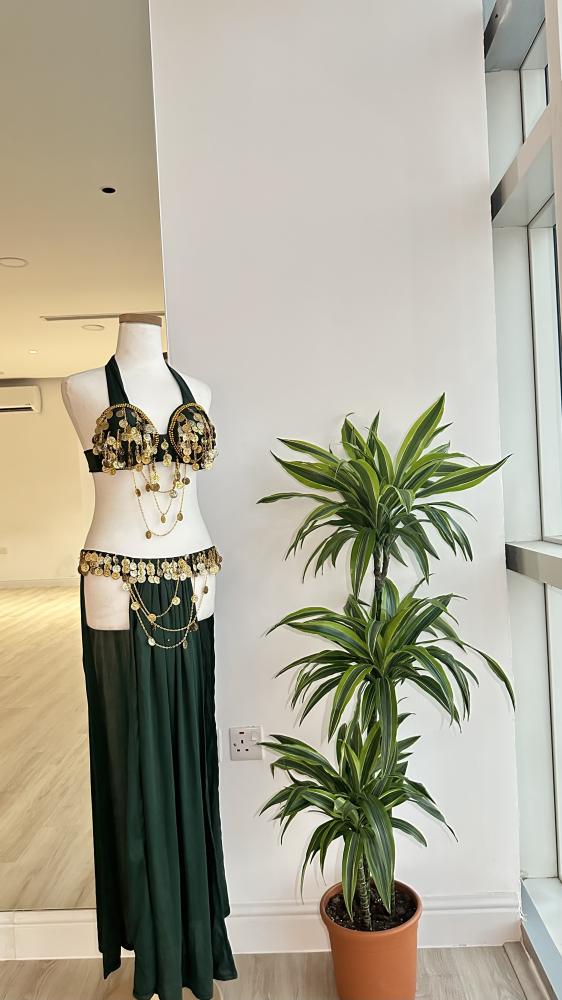 Eastern dance costume in olive and gold