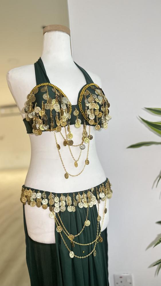 Eastern dance costume in olive and gold