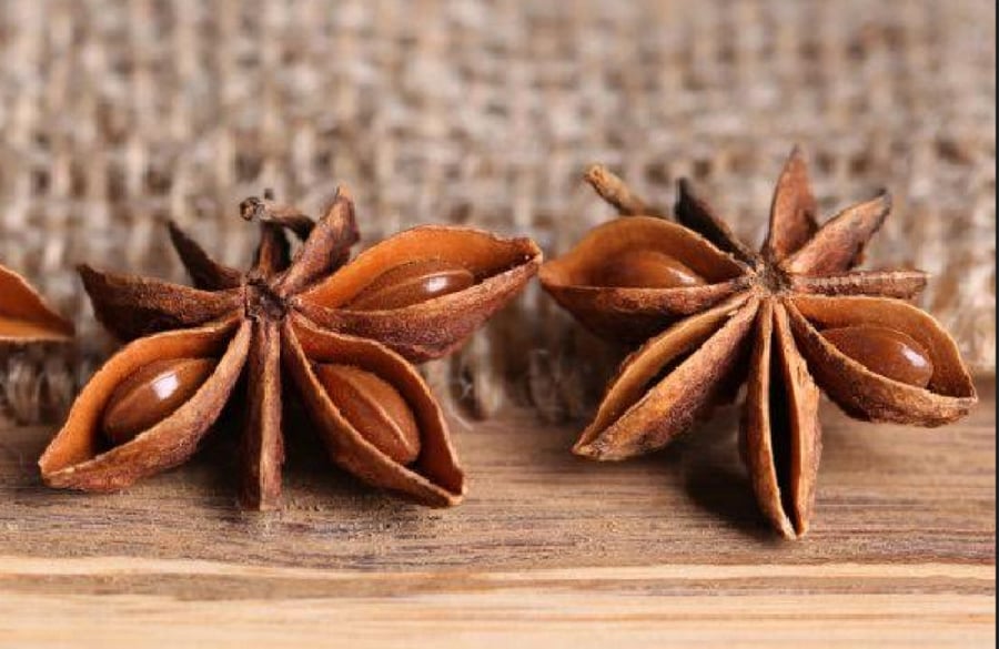 نجمة اليانسون اليوناني