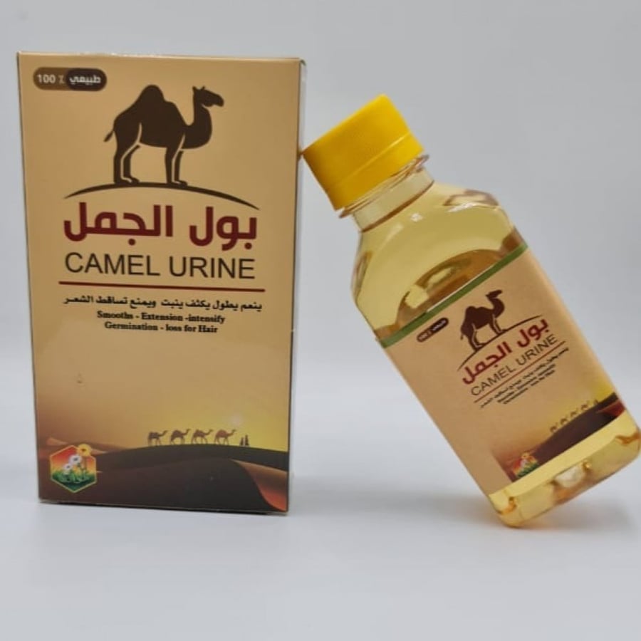 بول الجمل لتكثيف الشعر