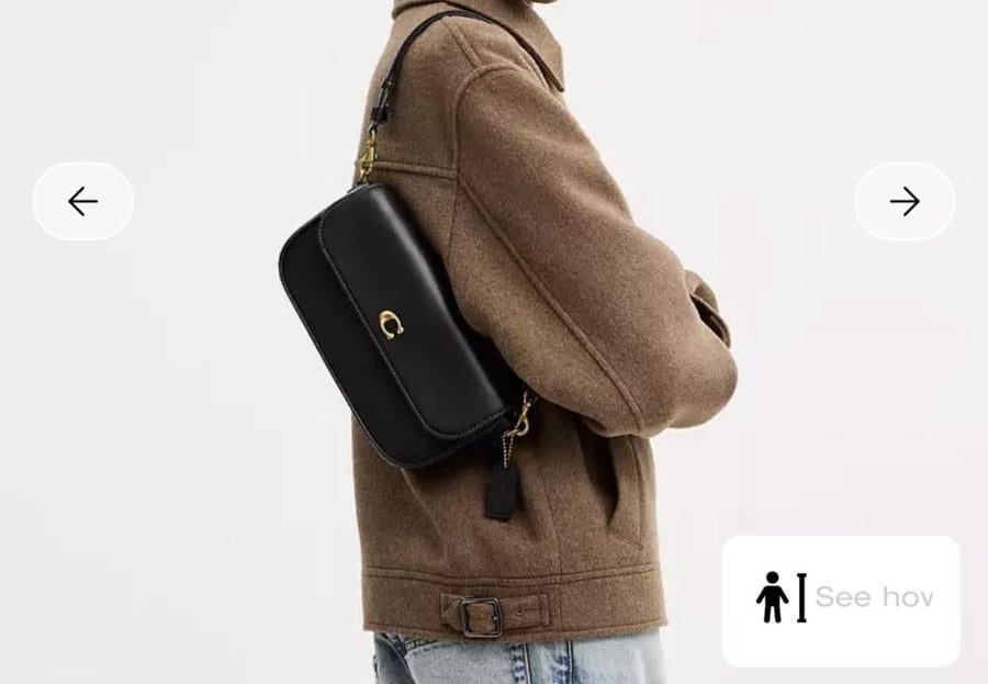 حقيبة كوتش Brook Flap Chain Bag