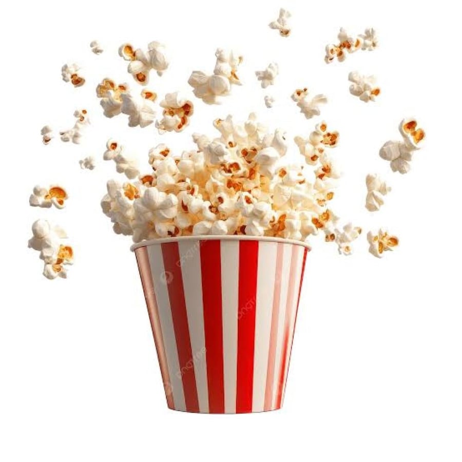 حبوب popcorn بتر فلاي Premium فاخر فرنسي 22 كيلو