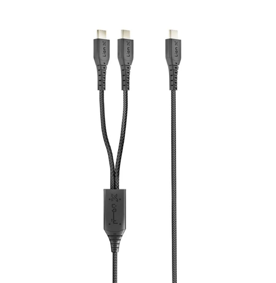 Cable 2*1 Type C fabric 100W length 1.20m Lion X