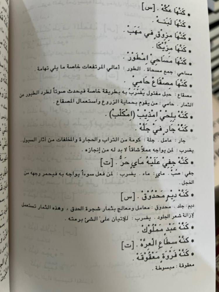 الامثال العامية والكنايات في عسير