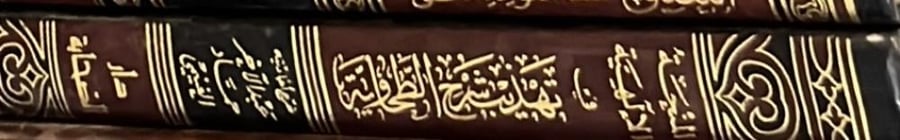 المنحة الالهية في تهذيب شرح الطحاوية