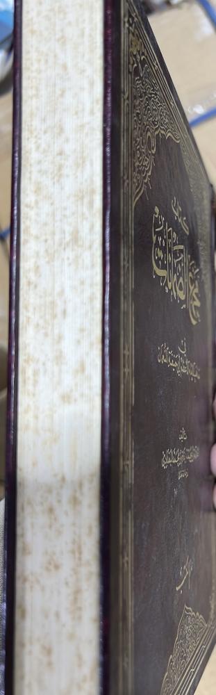 مجمع الضمانات في مذهب ابي حنيفة النعمان لابن غانم البغدادي