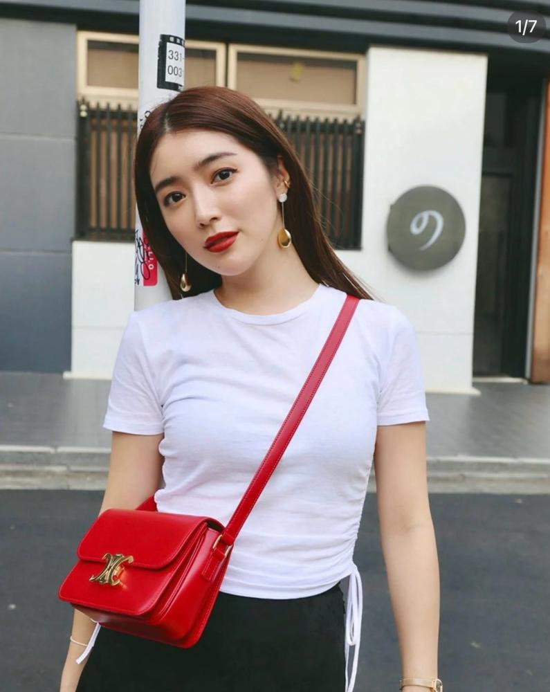 سيلين TEEN TRIOMPHE المقاس العرض 18.5cm الارتفاع 14cm  العمق 6cm