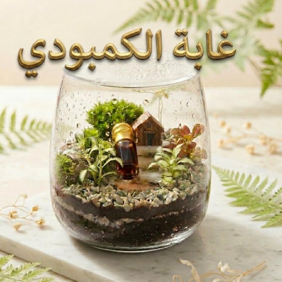 غابة دهن الكمبودي المعتق